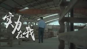 White Polo Collar T-shirt: A Stylish Choice for Early Autumn Fashion