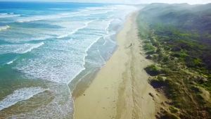 Cortisol Supplements for Women & Men with 200mg Ashwagandha L-Theanine & Phosphatidylserine 21-in-1 Cortisol Manager Reducer Liquid Drops Support Night Focus & Energy Pineapple 60ml