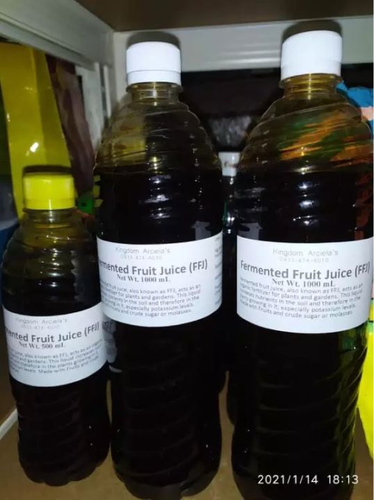 Fermented Fruit Juice (FFJ) 1000 mL as Pure Organic Fertilizer/Foliar