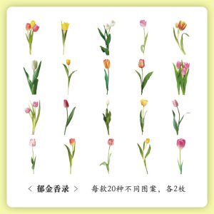 40pcs PET Flower Butterfly Series Stickers Butterflies Mushroom Waterproof Stickers Phone Sticker for journal decoration Large Size Stickers