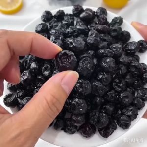 Dried Blueberries (Organic No Sugar Added  Healthy Low Carb Diet Dried Snack from USA)