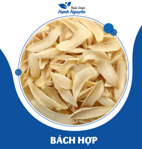 Hoa thanh long khô 100g (Hoa bá vương thanh nhiệt) - Thảo Dược Hạnh Nguyên