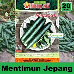 Benih Timun Mentimun Jepang Ronaldo F1 20 Gram Cap Bintang Asia