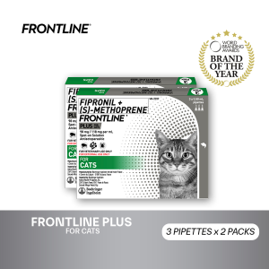 Frontline Plus For Cats 3 Pipettes x 2 Boxes Anti Tick And Flea Spot-On Anti Itch Pulgas Garapata Safe For Lactating and Pregnant Cats No Prescription Required