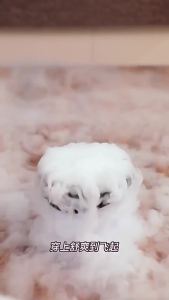 2025新款短袖男t恤240g潮牌印花纯棉休闲上衣夏季男士宽松衣服