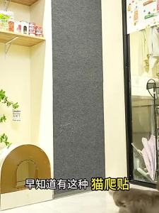 1/3M Cat Scratching Mat Large Trimmable Self-Adhesive Cat Scratching Car Sofa Protection Cats Scratcher