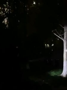 AECOB Đèn sửa chữa ô tô độ sáng cao với móc gấp và nam châm mạnh đa chức năng LED Đèn cắm trại đèn pin bảo trì khẩn cấp