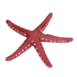 Bể cá mô phỏng starfishes trang trí silicon mềm phát sáng trong trang trí tối cho cá an toàn và ambiances decors
