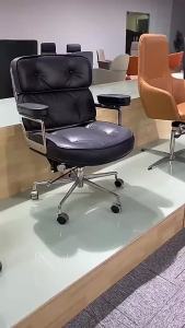 Alefye Ergonomic Office Chair Simple Home Boss Study Computer Chair Leisure Designer Robin Chair