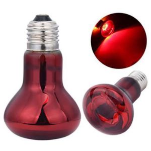 SDFSF Infrared Led Pet Heating Lamp UVA Adjustable Reptile Heat Bulb Glass Bulb 220-230V UVA Day Night Bulb Reptiles