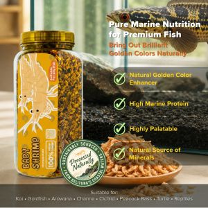 Makanan Baby Shrimp Kuning Udang Kering Naikan Corak Kuning Untuk Channa dan Ikan Lainnya IKANESIA