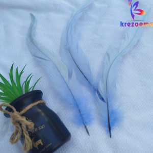 Aplikasi Bulu Ayam Jantan panjang hiasan kepala