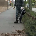 Makita BHX2500 Engine Leaf Blower / Cordless Air Blower. 