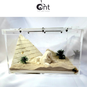 Egyptian Series Formicarium - Medium Forgotten Egyptian Civilisation                                                                                                               - Ant Farm Ant Keeping Ant Cages Ant Formicarium Ant Outworld Empire Of Ants