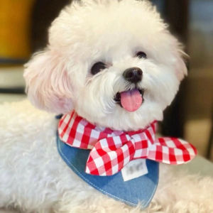 AIMAYAPET Pet Triangle Scarf Dog Saliva Towel Teddy Bichon Cute Bib Cat Jewelry Decoration