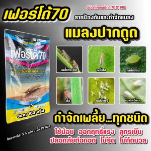 อิมิดาโคลพริด 70 อิมิดาคลอพริด เฟอร์โด้70 (เนื้อพรีเมี่ยม ใช้น้อย) กำจัดแมลง กำจัดเพลี้ย เพลี้ย แมลงปากดูด ทุกชนิด 100g.