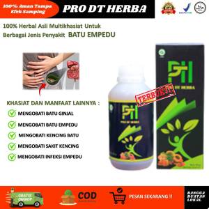 Obat Batu Empedu Paling Ampuh Tanpa Operasi Penghancur Batu Empedu Batu Ginjal Gagal Ginjal Lemak Darah Kolsterol PRO DT HERBA 300ML