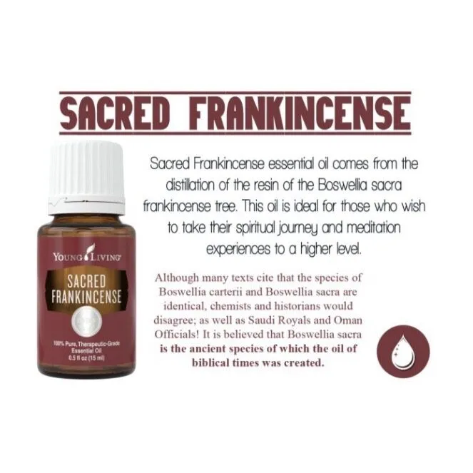 Young Living Sacred Frankincense Essential Oil 15ml | Lazada Singapore