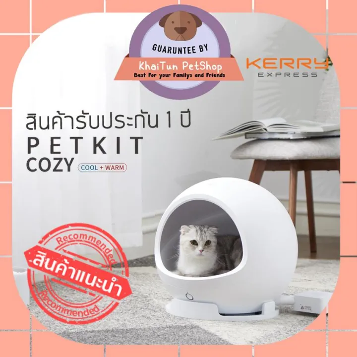 10 อันดับบ้านแมวยอดนิยมแห่งปี 2025: ที่พักผ่อนสุดฟินสำหรับเจ้านายเหมียว!