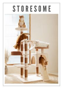 Wide Base Series Warm Colour Fun Cat Climbing With Multiple Platforms (2 Designs)