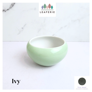 The Leaferie Ivy plant pots. flowerpot . flowerpots . flower pot . planter . planters . Ceramic