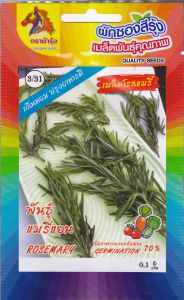 RAINBOWHORSE  🇹🇭 ผักซอง ม้ารุ้ง Z3/31 เมล็ดโรสแมรี่ แมรี่แอน เมล็ดพันธุ์ ผักซอง เมล็ดพันธุ์ผัก เมล็ดผัก ผักสวนครัว