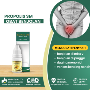Obat Penghancur Benjolan Di Miss V Benjolan Di Pinggir Vagina Obat Daging Menonjol Di Bibir Miss V Obat Miss V Bengkak Sakit Buang Air Kecil Obat Miss V Gatal Dan Perih Varises Vagina Kencing Nanah - Propolis SM