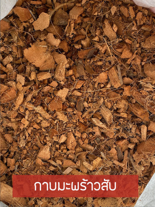 8 อันดับวัสดุเพาะปลูกจากมะพร้าวและดินผสมยอดนิยม อัปเดตปี 2025