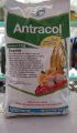 Fungisida Antracol 70 WP (Propineb 70%) 1 Kg. 