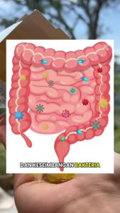 [6 Boxes Only RM99.9] CareLeaf HALAL Approved Bursting Probiotic Gummies Jasmine Flavor 18pcs  Gut Health Support Fresh Breath Juicy Burst Gummies