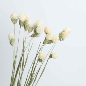 50cm Strawberry Dried Fruit Natural Preserved Everlasting Flower Bouquet DIY Creative Dried Strawberry Flower with Pistachio for Home Decor