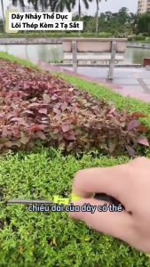 Dây Nhảy Thể Dục Lõi Thép Kèm 2 Tạ Sắt Gọn Nhẹ Tiện Lợi Khi Rèn Luyện Thể Lực Và Sức Bền