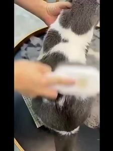 แปรงหวีไอน้ำ 3 In 1 แปรงขนแมวไอน้ำ หวีสัตว์เลี้ยง ใช้ นวด ทำความสะอาดได้ดี