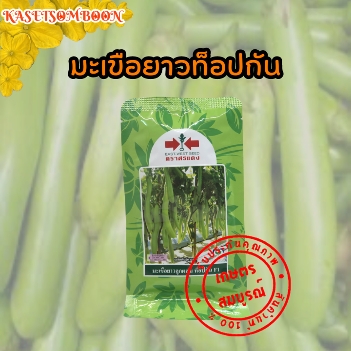 9 อันดับเมล็ดพันธุ์ผักสวนครัว ตราศรแดง ยอดนิยม ปลูกง่าย ผลดก ปี 2025