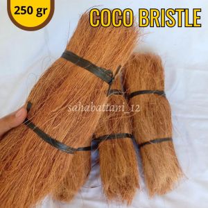 Cocobristle sabut kelapa lurus serabut kelapa halus