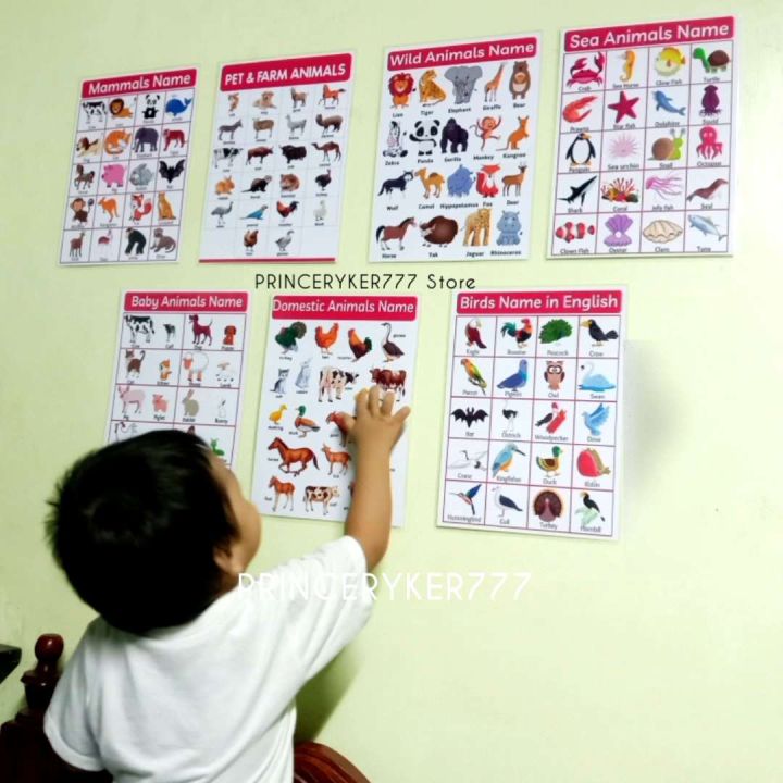 Educational Animals Chart - Laminated A4 Size, Educational Wall Chart