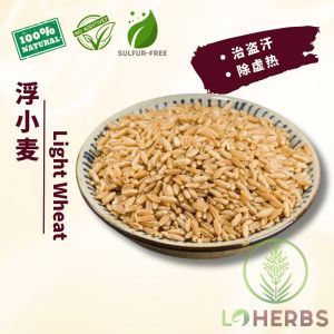 Loherbs 浮小麦 Light Wheat /Levigated Wheat【止汗、补气、除热 Sweat Control & Heat Relief】【中药材 HERBAL】