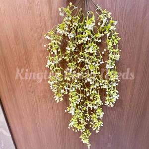 Simulated Babys Breath Vine Artificial Plant Wall Hanging Vine Bell Orchid Fake Flower Home Ceiling Wedding Decoration