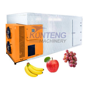 Multi-Function Heat Pump Apple Grapes Bananas drying Equipment Fruit vegetable Drying Machine Dehydrator Dehydration Machine