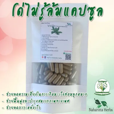 โด่ไม่รู้ล้ม ขนาด 50 / 100 แคป (1เม็ด 500 มก.) สมุนไพรไทยแท้ 100% พร้อมส่ง