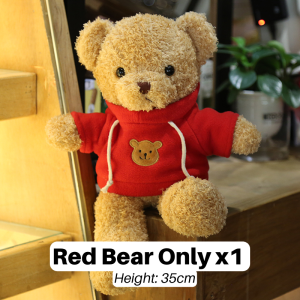 Birthday Gift Teddy Bear with optional Gift Bag Romantic Lights Flower Soft Toy