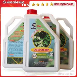 PSEUDOMONAS Chê Phẩm Phòng Trừ Bệnh Héo Xanh  Vàng Lá Thối Cổ Rễ - Can 2 lÍt
