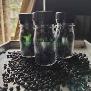 TEH BIJI BUAH ANGKUNG KERING OBAT STROKE 250 BIJI BONUS 15 BIJI