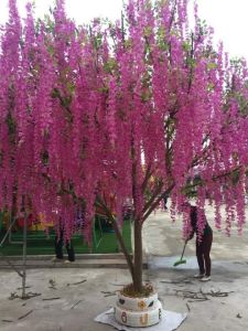 Chùm Hoa Tử Đằng giả loại dài 110cm 3 nhánh dùng trang trí nhà hàng cực đẹp