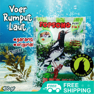 SEMPATI Topsong Rumput Laut Plus 3 In 1 Pakan Burung Kacer Anis Kembang Murai Cucak Ijo Jalak