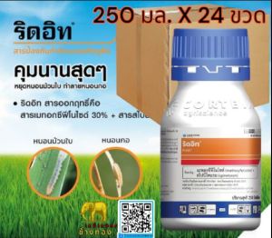 ริดอิท ยกลัง (250ml. x 24ขวด) กำจัดหนอนดื้อยา หนอนห่อใบ กระทู้ ดื้อยา (1 ขวด ใช้ได้ 4-6 ไร่)