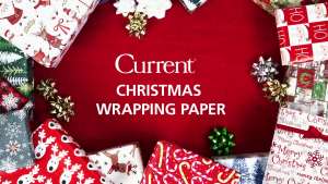 Current Birds on Black Christmas Rolled Wrapping Paper - Premium Jumbo 23-Inch x 32-Foot Gift Wrap Roll 61 Square Feet Total
