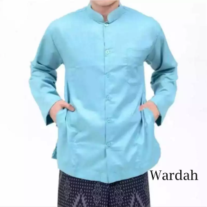 Baju Koko Pria Haibah Lengan Panjang Saku Samping Koko Habaib Size M-3XL JU0143