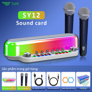 TNW SY12 Live SoundCard SetVới Bộ trộn âm thanh Mic Condenser Thẻ âm thanh Âm thanh ngoài với Giảm tiếng ồn thông minh