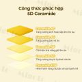 Dưỡng Môi Dạng Tinh Chất 11ml - Cấp Ẩm Liên Tục 72H, Phục Hồi Môi Nứt Nẻ & Làm Đều Màu Môi Tự Nhiên. 